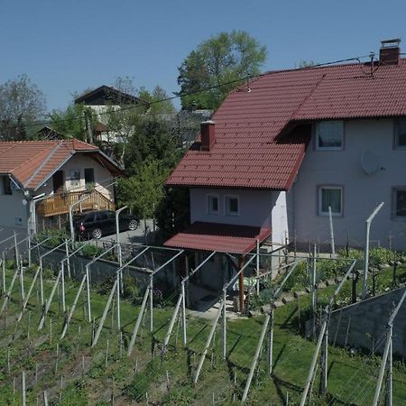 Apartment House Sumrak Bizeljsko Екстер'єр фото
