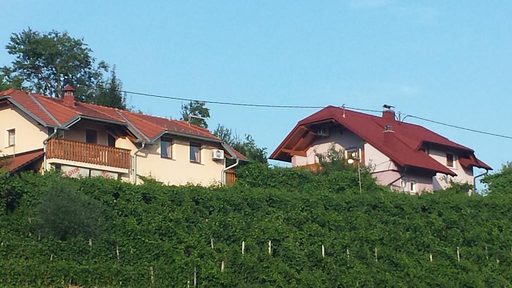 Apartment House Sumrak Bizeljsko Екстер'єр фото